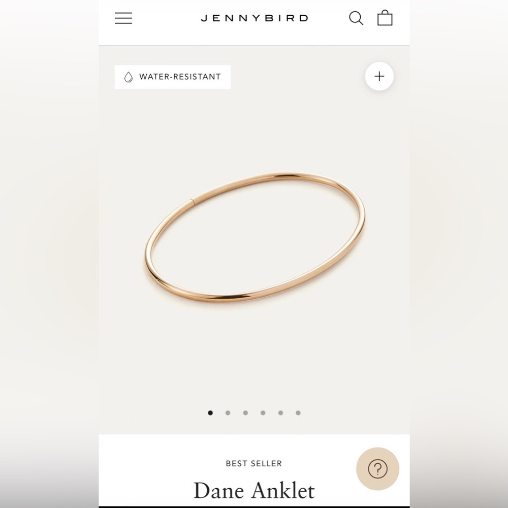 Jenny Bird 14k Gold Ankle Bracelet - Dane Anklet